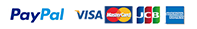 PayPal VISA Mastercard JCB American express